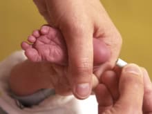 blood is taken from a two week old baby to test for phenylketonuria