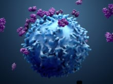 3d illustration proteins with lymphocytes , t cells or cancer cells