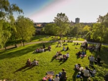 the rest of the people in sweden are in stockholm, center city, evening, green grass in the park, picnic
