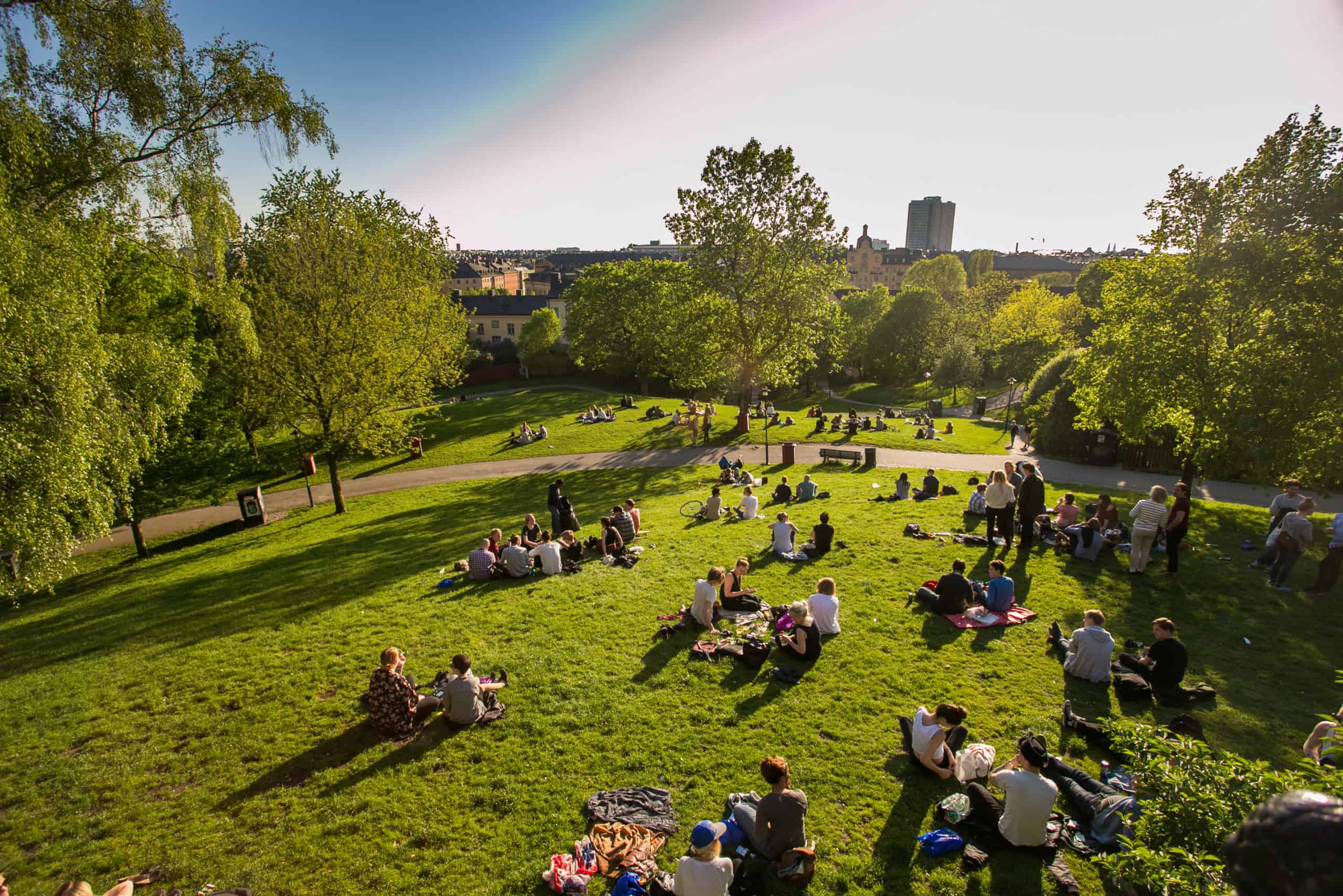 the rest of the people in sweden are in stockholm, center city, evening, green grass in the park, picnic